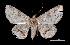  ( - MAL-03306)  @14 [ ] Unspecified (default): All Rights Reserved  Unspecified Unspecified