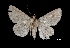  ( - MAL-03306)  @13 [ ] Unspecified (default): All Rights Reserved  Unspecified Unspecified