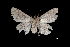  ( - MAL-03289)  @13 [ ] Unspecified (default): All Rights Reserved  Unspecified Unspecified