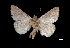 ( - MAL-03269)  @13 [ ] Unspecified (default): All Rights Reserved  Unspecified Unspecified