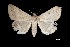  ( - MAL-03263)  @13 [ ] Unspecified (default): All Rights Reserved  Unspecified Unspecified