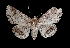  ( - MAL-03298)  @13 [ ] Unspecified (default): All Rights Reserved  Unspecified Unspecified