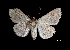  ( - MAL-03298)  @13 [ ] Unspecified (default): All Rights Reserved  Unspecified Unspecified