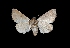  ( - MAL-03110)  @14 [ ] Unspecified (default): All Rights Reserved  Unspecified Unspecified
