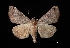  ( - MAL-03147)  @14 [ ] Unspecified (default): All Rights Reserved  Unspecified Unspecified
