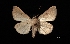  ( - MAL-03147)  @14 [ ] Unspecified (default): All Rights Reserved  Unspecified Unspecified