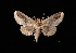  ( - MAL-03146)  @13 [ ] Unspecified (default): All Rights Reserved  Unspecified Unspecified