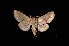 ( - MAL-03146)  @13 [ ] Unspecified (default): All Rights Reserved  Unspecified Unspecified