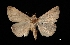  ( - MAL-03159)  @13 [ ] Unspecified (default): All Rights Reserved  Unspecified Unspecified