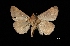  ( - MAL-03159)  @13 [ ] Unspecified (default): All Rights Reserved  Unspecified Unspecified