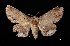  ( - MAL-03162)  @13 [ ] Unspecified (default): All Rights Reserved  Unspecified Unspecified