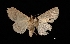  ( - MAL-03162)  @13 [ ] Unspecified (default): All Rights Reserved  Unspecified Unspecified
