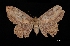  ( - MAL-03252)  @13 [ ] Unspecified (default): All Rights Reserved  Unspecified Unspecified