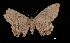  ( - MAL-03252)  @12 [ ] Unspecified (default): All Rights Reserved  Unspecified Unspecified