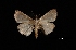  ( - MAL-03408)  @12 [ ] Unspecified (default): All Rights Reserved  Unspecified Unspecified
