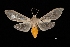  ( - MAL-03481)  @14 [ ] Unspecified (default): All Rights Reserved  Unspecified Unspecified