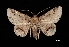  ( - MAL-03448)  @14 [ ] Unspecified (default): All Rights Reserved  Unspecified Unspecified