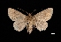  ( - MAL-03448)  @13 [ ] Unspecified (default): All Rights Reserved  Unspecified Unspecified