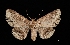  ( - MAL-03451)  @13 [ ] Unspecified (default): All Rights Reserved  Unspecified Unspecified