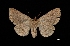  ( - MAL-03451)  @13 [ ] Unspecified (default): All Rights Reserved  Unspecified Unspecified
