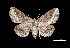  ( - MAL-03450)  @13 [ ] Unspecified (default): All Rights Reserved  Unspecified Unspecified