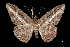  ( - MAL-03404)  @12 [ ] Unspecified (default): All Rights Reserved  Unspecified Unspecified
