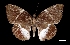  ( - MAL-03475)  @13 [ ] Unspecified (default): All Rights Reserved  Unspecified Unspecified