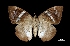  ( - MAL-03476)  @13 [ ] Unspecified (default): All Rights Reserved  Unspecified Unspecified