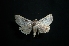  ( - MAL-03321)  @14 [ ] Unspecified (default): All Rights Reserved  Unspecified Unspecified