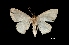  ( - MAL-01644)  @12 [ ] Unspecified (default): All Rights Reserved  Unspecified Unspecified