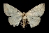 ( - MAL-01646)  @12 [ ] Unspecified (default): All Rights Reserved  Unspecified Unspecified