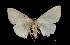  ( - MAL-01646)  @12 [ ] Unspecified (default): All Rights Reserved  Unspecified Unspecified