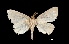  ( - MAL-01650)  @13 [ ] Unspecified (default): All Rights Reserved  Unspecified Unspecified