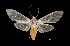  ( - MAL-01667)  @14 [ ] Unspecified (default): All Rights Reserved  Unspecified Unspecified