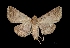  ( - MAL-01674)  @13 [ ] Unspecified (default): All Rights Reserved  Unspecified Unspecified