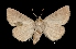  ( - MAL-01685)  @14 [ ] Unspecified (default): All Rights Reserved  Unspecified Unspecified