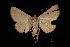  ( - MAL-01686)  @15 [ ] Unspecified (default): All Rights Reserved  Unspecified Unspecified