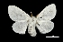  ( - MAL-01700)  @13 [ ] Unspecified (default): All Rights Reserved  Unspecified Unspecified