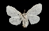  ( - MAL-01700)  @14 [ ] Unspecified (default): All Rights Reserved  Unspecified Unspecified