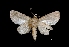  ( - MAL-01715)  @13 [ ] Unspecified (default): All Rights Reserved  Unspecified Unspecified