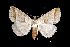  ( - MAL-01719)  @15 [ ] Unspecified (default): All Rights Reserved  Unspecified Unspecified