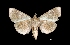  ( - MAL-01721)  @13 [ ] Unspecified (default): All Rights Reserved  Unspecified Unspecified