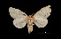  ( - MAL-01735)  @13 [ ] Unspecified (default): All Rights Reserved  Unspecified Unspecified
