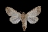  ( - MAL-01740)  @13 [ ] Unspecified (default): All Rights Reserved  Unspecified Unspecified