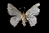  ( - MAL-01789)  @13 [ ] Unspecified (default): All Rights Reserved  Unspecified Unspecified