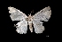  ( - MAL-01790)  @13 [ ] Unspecified (default): All Rights Reserved  Unspecified Unspecified