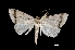  ( - MAL-01808)  @13 [ ] Unspecified (default): All Rights Reserved  Unspecified Unspecified