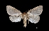 ( - MAL-01831)  @13 [ ] Unspecified (default): All Rights Reserved  Unspecified Unspecified
