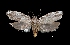  ( - MAL-01836)  @14 [ ] Unspecified (default): All Rights Reserved  Unspecified Unspecified