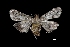  ( - MAL-01843)  @13 [ ] Unspecified (default): All Rights Reserved  Unspecified Unspecified